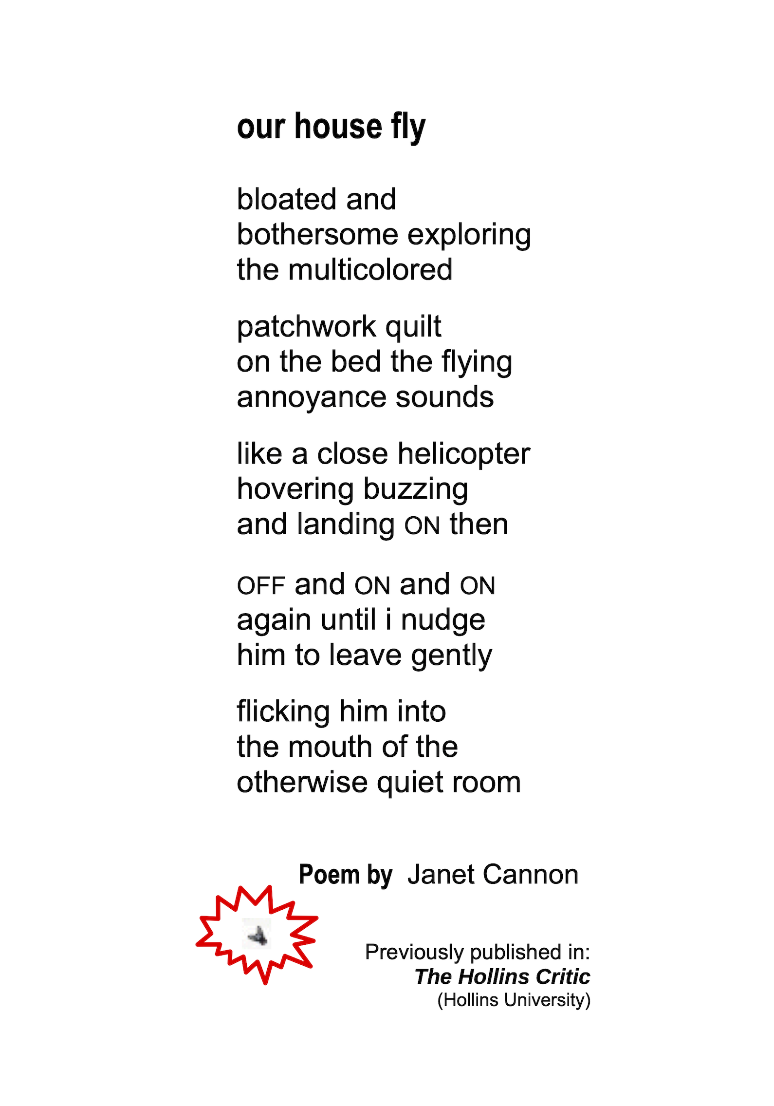 JanetCannon___POEM_CARD___our_house_fly___IMAGE_card_WEBSITE